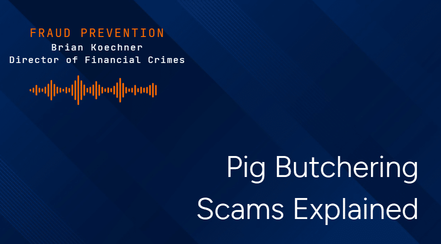 Pig Butchering Scam explained